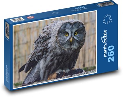 Owl - bird, animal - Puzzle 260 pieces, size 41x28.7 cm 