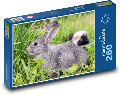 Králik - zviera, hlodavec - Puzzle 260 dielikov, rozmer 41x28,7 cm