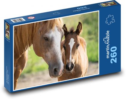 Kôň - žriebä, kobyla - Puzzle 260 dielikov, rozmer 41x28,7 cm