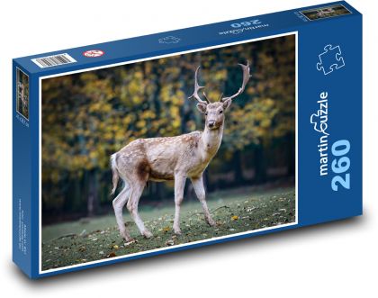 Srnec - jelen, parohy - Puzzle 260 dílků, rozměr 41x28,7 cm