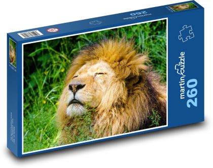 Lion - animal, beast - Puzzle 260 pieces, size 41x28.7 cm 