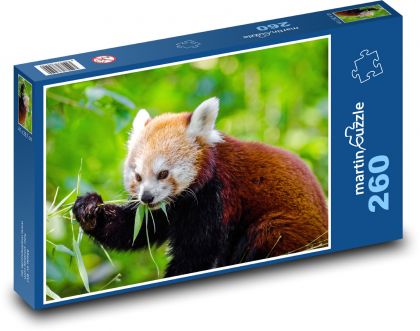 Panda czerwona - zwierzęca, dzika - Puzzle 260 elementów, rozmiar 41x28,7 cm