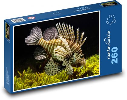 Morské ryby - podvodné, morské - Puzzle 260 dielikov, rozmer 41x28,7 cm