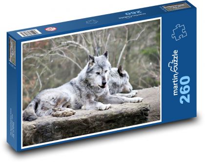 Wilk arktyczny - zwierzę, ssak - Puzzle 260 elementów, rozmiar 41x28,7 cm