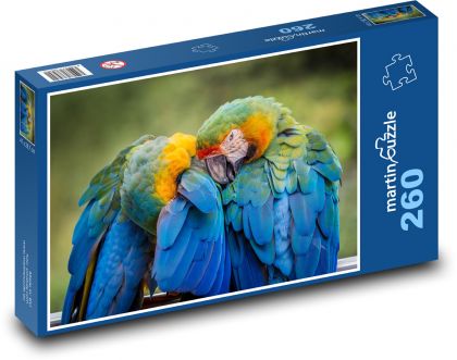Papoušek - pták, zvíře - puzzle 260 dílků