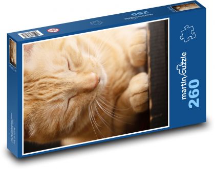 Mačka - domáce zviera, ospalá - Puzzle 260 dielikov, rozmer 41x28,7 cm