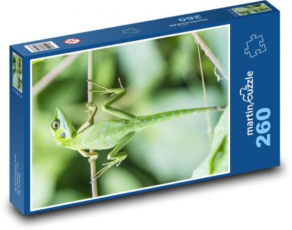 Lizard - reptile, animal - Puzzle 260 pieces, size 41x28.7 cm 
