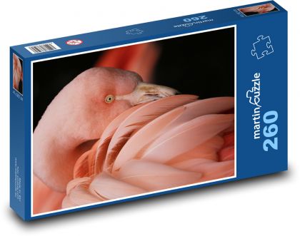 Plameňák - pták, zvíře - puzzle 260 dílků