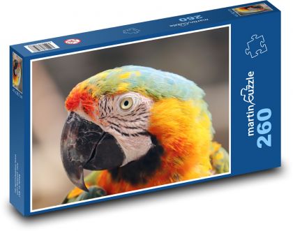 Papuga - ptak, zwierzę - Puzzle 260 elementów, rozmiar 41x28,7 cm