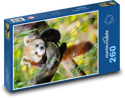 Panda červená - kuriatko, zviera - Puzzle 260 dielikov, rozmer 41x28,7 cm