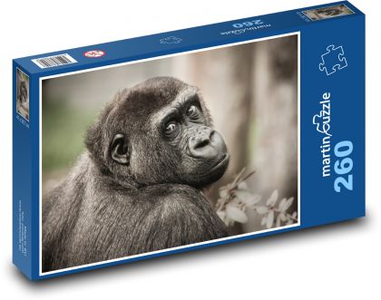 Gorila - zvíře, savec - puzzle 260 dílků