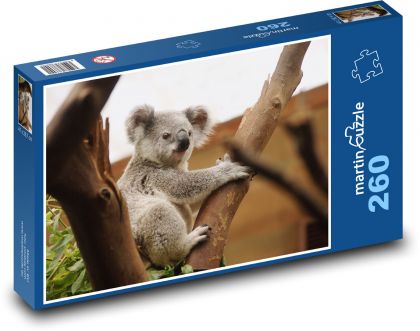 Koala - marsupial, animal - Puzzle 260 pieces, size 41x28.7 cm 