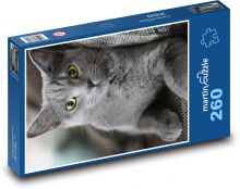 Kočka - mazlíček, britská krátkosrstá   Puzzle 260 - 41x28,7 cm