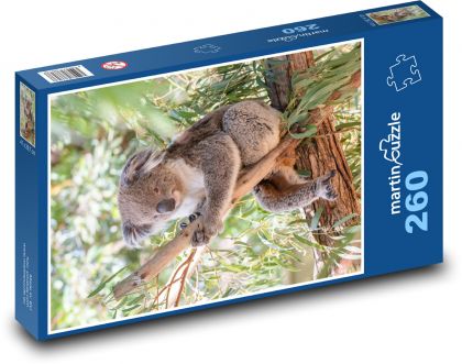 Koala - vačnatec, býložravec - Puzzle 260 dílků, rozměr 41x28,7 cm