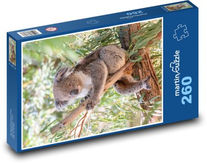 Koala - vačnatec, býložravec - puzzle 260 dílků