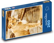 Lioness - beast, predator Puzzle 260 pieces - 41 x 28.7 cm