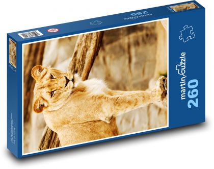 Lioness - beast, predator - Puzzle 260 pieces, size 41x28.7 cm 