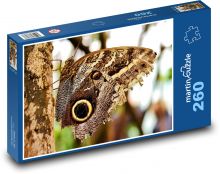 Motyl - owady, skrzydła Puzzle 260 elementów - 41x28,7 cm