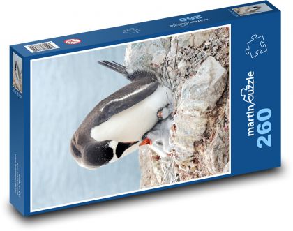 Pingwin - ptak, zwierzę - Puzzle 260 elementów, rozmiar 41x28,7 cm