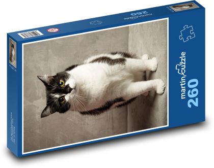 Kočka - mazlíček, zvíře - Puzzle 260 dílků, rozměr 41x28,7 cm