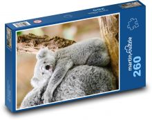 Koala - zviera, mláďa Puzzle 260 dielikov - 41 x 28,7 cm 