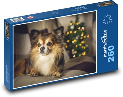 Chihuahua - pies, zwierzak - Puzzle 260 elementów, rozmiar 41x28,7 cm