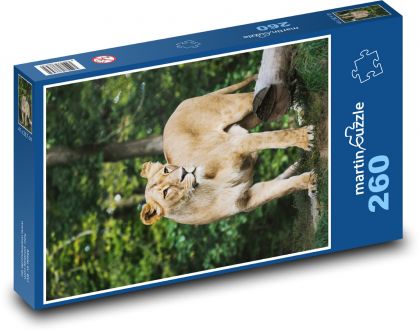Lioness - shešlma, lion - Puzzle 260 pieces, size 41x28.7 cm 