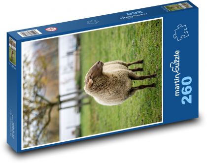 Schaf - Tier, Bauernhof - Puzzle - 260 Teile
