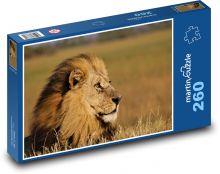 Lev - kráľ džungle, cicavec Puzzle 260 dielikov - 41 x 28,7 cm 