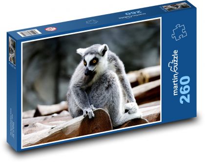 Lemur - animal, mammal - Puzzle 260 pieces, size 41x28.7 cm 