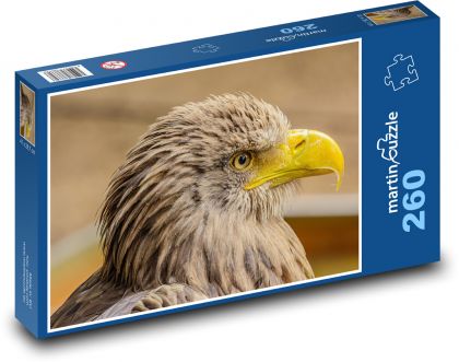 Orel - dravý pták, orlí hlava - Puzzle 260 dílků, rozměr 41x28,7 cm