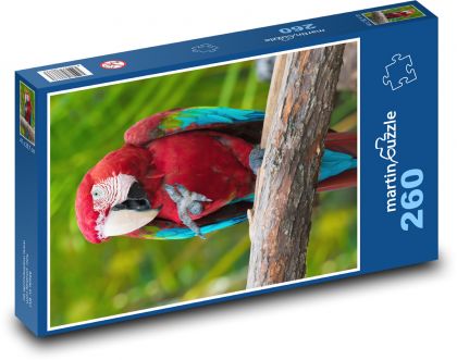 Pták - papoušek, zoo - Puzzle 260 dílků, rozměr 41x28,7 cm