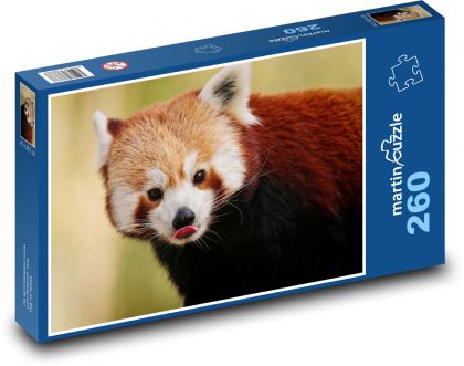 Panda červená - zvíře, medvěd - puzzle 260 dílků