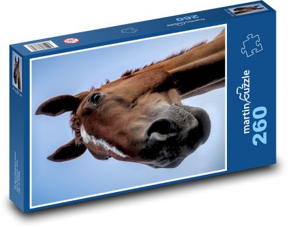 Pferd - Hengst, Mähne - Puzzle - 260 Teile