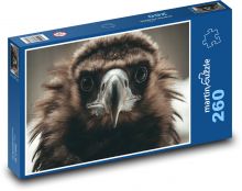 Vulture - bird, predator Puzzle 260 pieces - 41 x 28.7 cm 