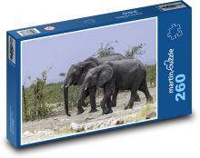 Sloni - zvířata, safari Puzzle 260 dílků - 41 x 28,7 cm