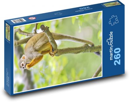Monkey - mammal, animal - Puzzle 260 pieces, size 41x28.7 cm 