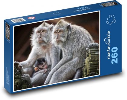 Monkey - primate, mammal - Puzzle 260 pieces, size 41x28.7 cm 