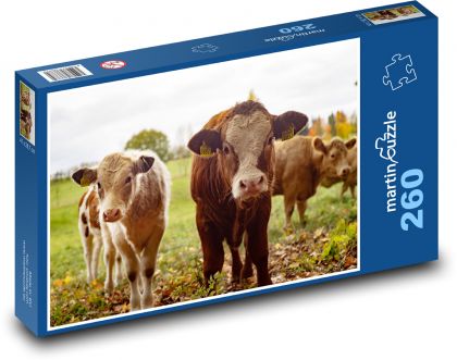Krávy - farma, dobytek - Puzzle 260 dílků, rozměr 41x28,7 cm