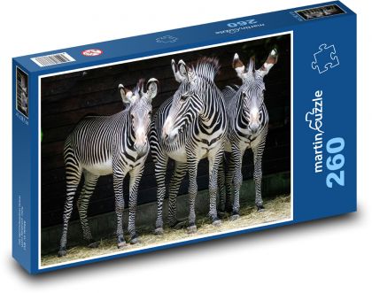 Zebry - zvířata, zoo - Puzzle 260 dílků, rozměr 41x28,7 cm