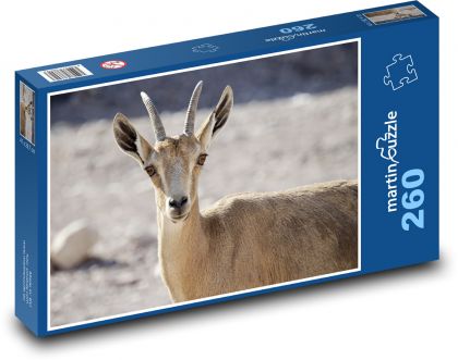 Capricorn - animal, chick - Puzzle 260 pieces, size 41x28.7 cm 