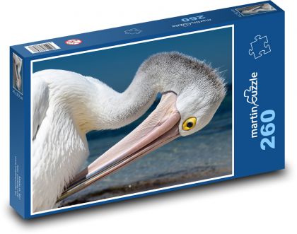 Pelikán - vodní pták, zvíře - Puzzle 260 dílků, rozměr 41x28,7 cm