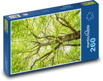 Strom - buk, listy - Puzzle 260 dielikov, rozmer 41x28,7 cm
