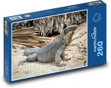 Iguana - lizard, animal Puzzle 260 pieces - 41 x 28.7 cm 
