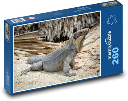 Iguana - lizard, animal - Puzzle 260 pieces, size 41x28.7 cm 