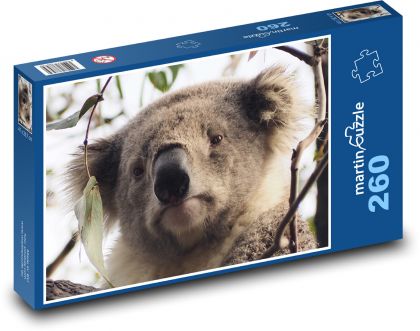 Koala - zvíře, strom - Puzzle 260 dílků, rozměr 41x28,7 cm