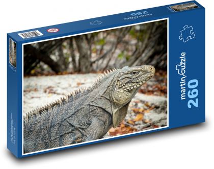 Leguán - ještěrka, plaz - puzzle 260 dílků