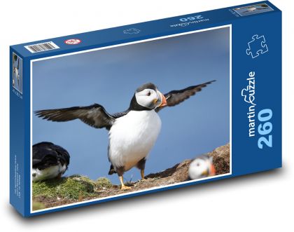 Puffin - bird, animal - Puzzle 260 pieces, size 41x28.7 cm 