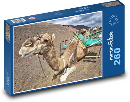 Kamel - Tier, Wüste - Puzzle - 260 Teile