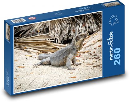 Leguán - ještěrka, tropy - Puzzle 260 dílků, rozměr 41x28,7 cm